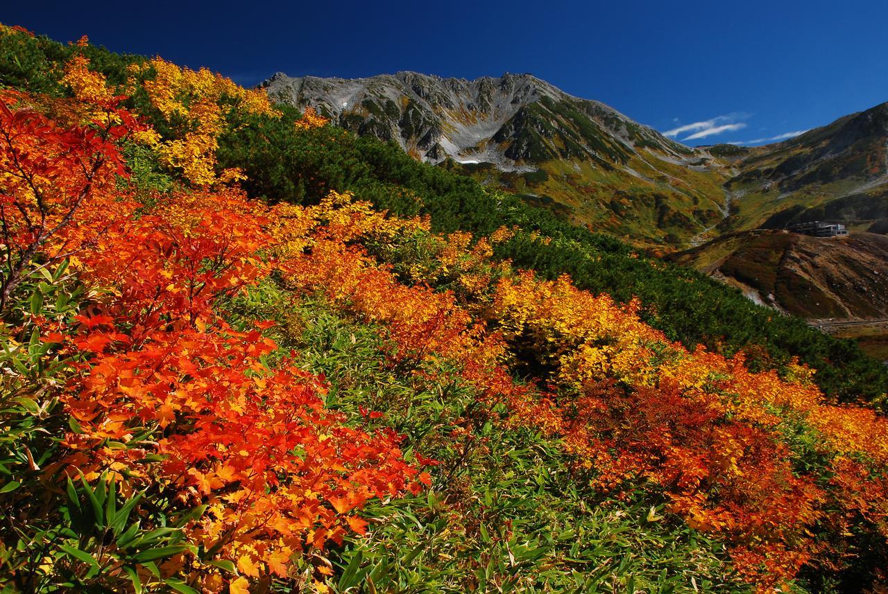 Tateyama Kogen Hotel Toyama Eksteriør billede