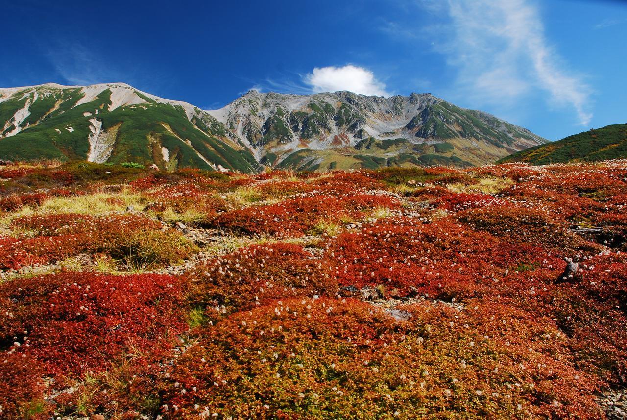 Tateyama Kogen Hotel Toyama Eksteriør billede
