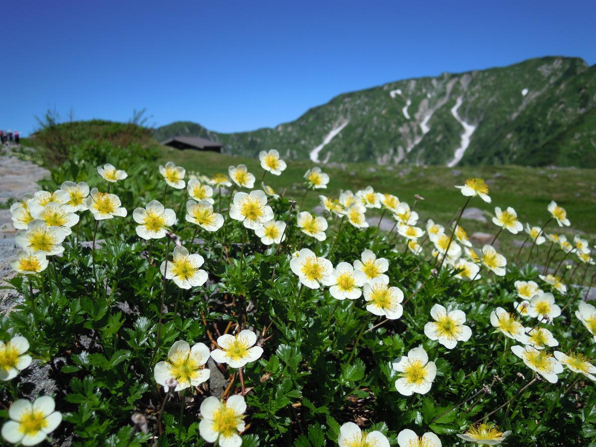 Tateyama Kogen Hotel Toyama Eksteriør billede