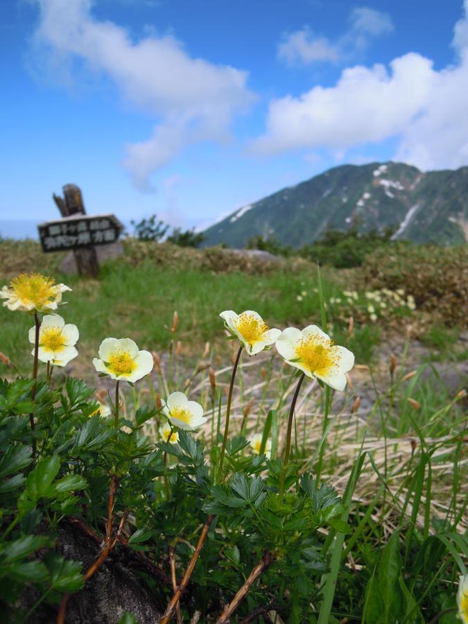 Tateyama Kogen Hotel Toyama Eksteriør billede